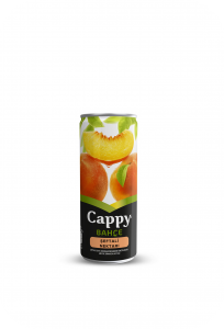 meyvesuyu-cappy-250ml